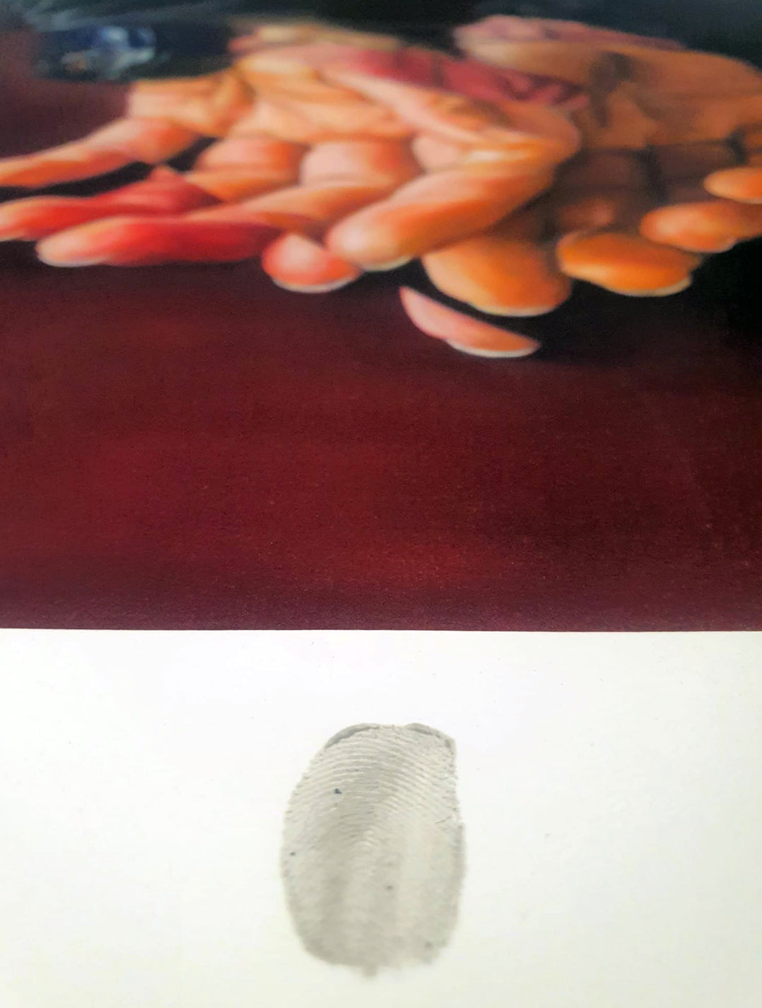 Sometido x SOEN BRAVO